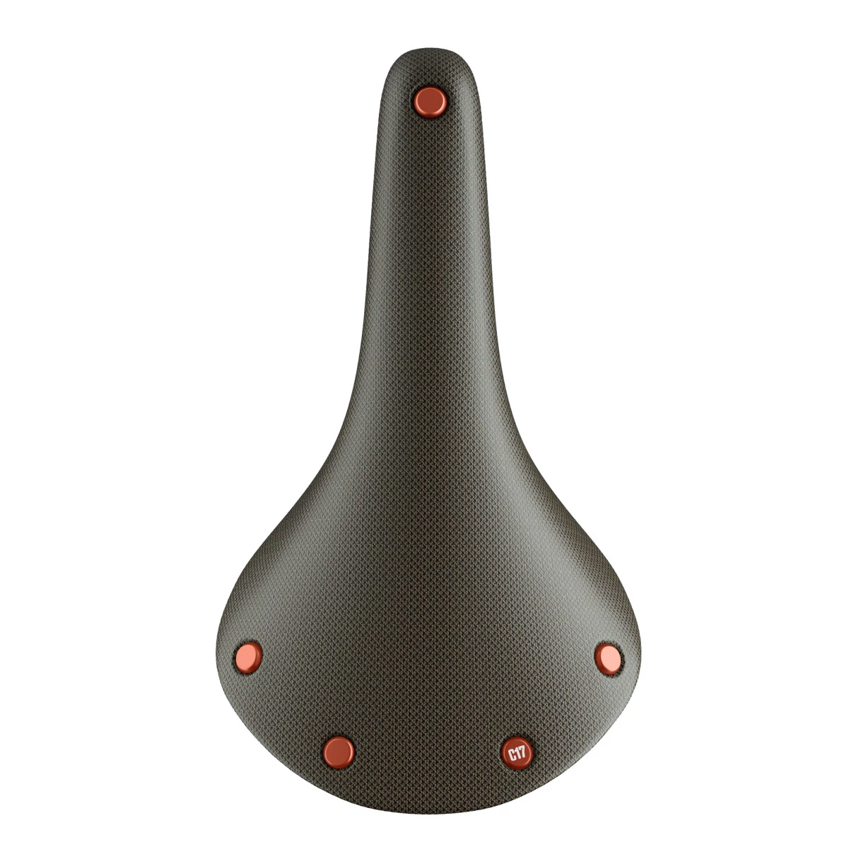 Brooks Cambium C17 - All Weather - Arizona 2 Brooks Cambium C17 - All Weather - Arizona – Bild 2