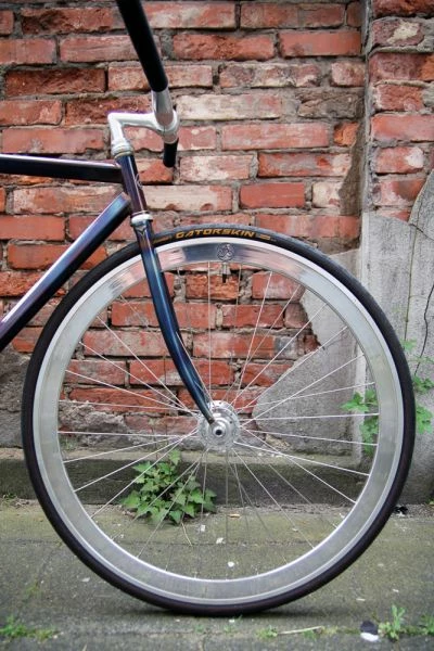 Continental GatorSkin Kevlar PolyX Breaker -Drahtreifen- 2 Continental GatorSkin Kevlar PolyX Breaker -Drahtreifen- – Bild 2