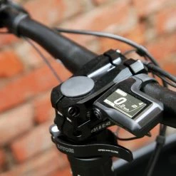 Larry Vs Harry EBullitt Shimano STePS EP8 XT Di2 - Lastenrad - Lizzard King -Fahrradzubehör Verkäufe eBullitt EP8 Lizzard 7