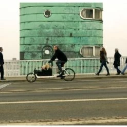Larry Vs Harry BULLITT Lastenrad Cargobike - Shimano XT12 | 1x12 26 Larry Vs Harry BULLITT Lastenrad Cargobike - Shimano XT12 | 1x12 -Fahrradzubehör Verkäufe family copenhagen 3655 10 3658 10 3659 10 4244 10
