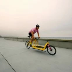 Larry Vs Harry BULLITT Lastenrad Cargobike - Shimano XT12 | 1x12 29 Larry Vs Harry BULLITT Lastenrad Cargobike - Shimano XT12 | 1x12 -Fahrradzubehör Verkäufe race copenhagen 3655 13 3658 13 3659 13 4244 13